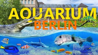 Aquarium Berlin – historisch und doch zeitgemäß  ZooEindruck [upl. by Liuqnoj]