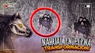 Me Encontré con un NAHUAL en Plena TRANSFORMACIÓN [upl. by Nnylcaj]