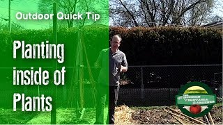 Planting inside of Plants  Quick Tip [upl. by Barclay]