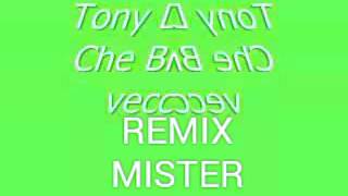 Che brutta la vecchia remix mister DJ 2016 [upl. by Aihtela954]