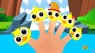 เป็ดครอบครัวลายนิ้วมือ  เพลงสำหรับเด็ก  Kids Songs  Finger Family Rhymes  Ducks Finger Family [upl. by Vivianna]