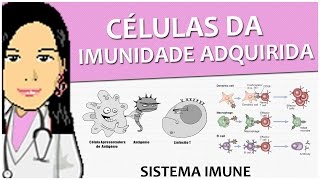 Imunologia 06  Células da Imunidade Adquirida  Vídeoaula de Sistema Imune [upl. by Haeluj]