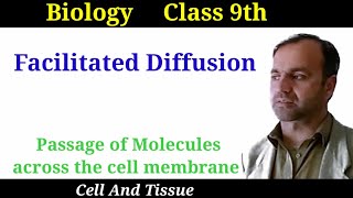 Facilitated Diffusion  Passage of Molecules across the cell membrane  Class 9 Biology [upl. by Leontine712]