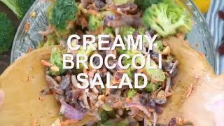 Easy Broccoli Salad sogood [upl. by Aihtyc229]