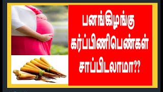 பனங்கிழங்குpanaimaram Panang Kilangu Benefits in Tamilபனை கிழங்கு கர்ப்பிணிபெண்கள் சாப்பிடலாமா [upl. by Bergeman186]