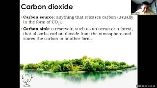 Science 10 SNC2D Greenhouse Effect [upl. by Ativoj]