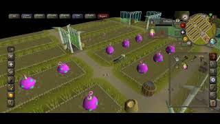 One uneventful run of tithe farm OSRS [upl. by Irami]