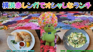 横浜赤レンガLA COCORICOでオシャレなランチを食べてきました🍴🍗☕Hachigori🐝🦍TV [upl. by Nagyam]