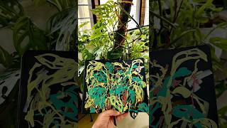 Painting Monstera livepaint illustration monsteraplant sketchbook paintwithme [upl. by Roderick637]