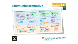 eSVT La réaction immunitaire adaptative [upl. by Airtina]