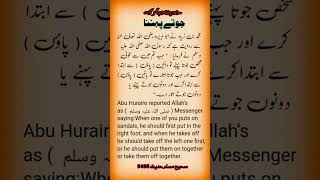 Sahih Muslim Hadiths 5495 sahihmuslim hadithscollection hadiofficial157 [upl. by Ezalb571]