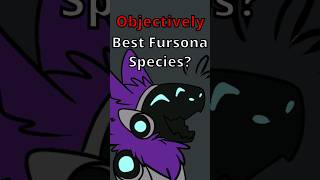 The 3 quotObjectivelyquot Best Fursona Species furries [upl. by Aryahay]