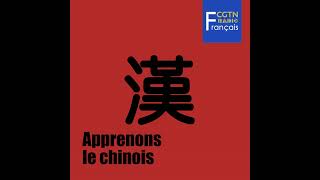 Leçon 13  Au restaurant chinois [upl. by Scribner508]