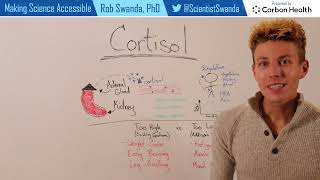 What is Cortisol [upl. by Tnemelc]