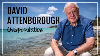 David Attenborough on Overpopulation [upl. by Nevur]