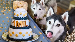 EPIC Cake For Dogs To Celebrate One Million  DIY Dog Treats [upl. by Landsman]