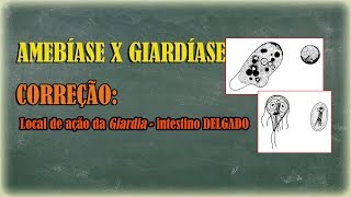 Amebíase e Giardíase correção do local de ação da Giardia [upl. by Anetta585]