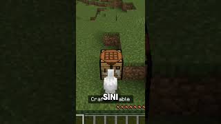 Minecraft tapi kalau kalian like dan subscribe aku berubah menjadi ayam [upl. by Aicats]