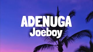 Joeboy amp Qing Madi  Adenuga Lyrics [upl. by Ghassan]