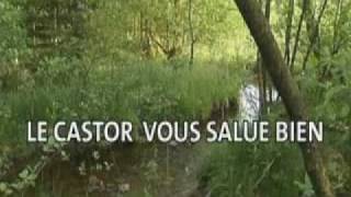 quotLe castor vous salue bienquot RTBF  Part 16 [upl. by Inait]