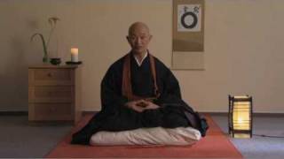 Zen  Posture  Introduction to zen practice part 21 Taigen Shodo Harada Roshi [upl. by Atiras]