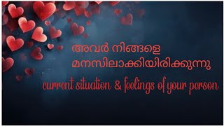 ✨അവർ നിങ്ങളെ മനസിലാക്കിയിരിക്കുന്നു ✨ current situation of your person [upl. by Llecrep]