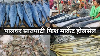 Satpati Fish Market Palghar Maharashtra  Palghar Satpati Wholesale Fish Market 2023 [upl. by Josee]