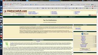 Distrowatch Top 10 vs the Real Top 10  help me to chose a noob distro [upl. by Dulcy]
