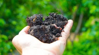 THE SECRET TO BUILDING HEALTHY SOIL [upl. by Keverian]