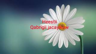 Saynab cige heestii qabrigii jacaylkow [upl. by Nessie]