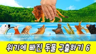 한국어ㅣ위기에 빠진 동물 구출하기 6 어린이 동물 만화 동물 이름 외우기ㅣ꼬꼬스토이 [upl. by Norre]