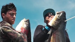 Bowfishing for Cobia HEADSHOT  Cleaning and Cooking [upl. by Asselam]