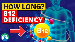 How Long to Recover from Vitamin B12 Deficiency ❓ [upl. by Vtehsta393]