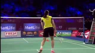 2014 YONEX DENMARK OPEN  F WS  Li X R 1 CHN VS Wang Y H 3 CHN [upl. by Shaff]