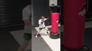 Free Standing Punching Bag Building Combinations martialarts kickboxing [upl. by Hendel185]