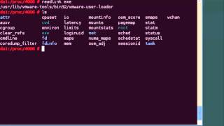 Understanding Linux processes within slash proc [upl. by Amarillas]