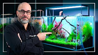 A Perfect Tutorial to Start Your FIRST Planted Aquarium [upl. by Ahsien]