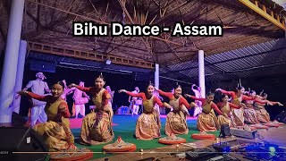 Bihu dance live performance at Kaziranga [upl. by Thomsen942]