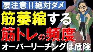 【筋トレ科学】筋肉が萎縮する間違った筋トレ頻度 筋力トレーニングの間違った頻度で筋肉が小さくなる [upl. by Brooke]