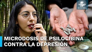 Medicina Psicodélica Terapia de psilocibina con potencial para la depresión y ansiedad [upl. by Yecad852]