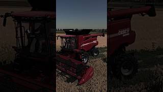 🔥Świetny CASE w Farming Simulator 22🔥✅️ farming harvest żniwa shorts fs22 [upl. by Dranel216]