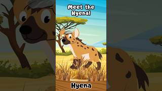 Meet the Hyena Natures Most Misunderstood Predator [upl. by Nahtannoj638]