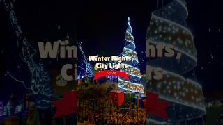 FREE event in Pickering Winter Nights City Lights 2024 shorts holidayevent [upl. by Metsky275]