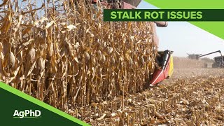 Stalk Rot Issues 1078 Air Date 12218 [upl. by Magnien]