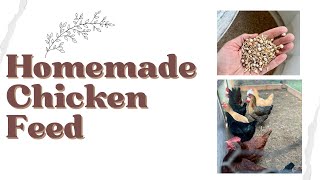 Homemade Corn and Soy Free Chicken Feed  How to Ferment Chicken Feed [upl. by Paola]