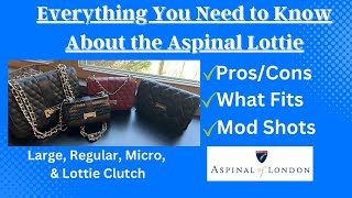 Aspinal of London Lottie Review Large Regular Micro amp Clutch  Comparison Mod Shots What Fits [upl. by Dasha]