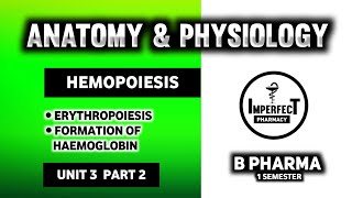 Hematopoiesis  Erythropoiesis  Human Anatomy And Physiology  HAP  B Pharma [upl. by Immac407]