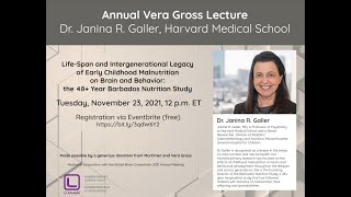 VERA GROSS LECTURE 2021 [upl. by Orr585]