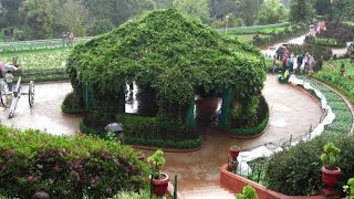 Ooty Botanical Garden travel nature nilgirihills tamilnadu tourismhillstationscenicgardenyt [upl. by Razatlab]