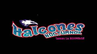 Mar y Sol  Grupo Halcones Nocturnos  Cumbias 2024 [upl. by Malia572]